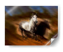 Caballo Ardiente Iii - David Drost | Cuadro decorativo de Canvas Lab