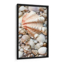 Shell Menagerie I - Rachel Perry | Cuadro decorativo de Canvas Lab