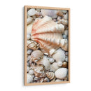 Shell Menagerie I - Rachel Perry | Cuadro decorativo de Canvas Lab