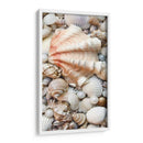 Shell Menagerie I - Rachel Perry | Cuadro decorativo de Canvas Lab