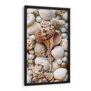 Shell Menagerie Iii - Rachel Perry | Cuadro decorativo de Canvas Lab