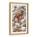 Shell Menagerie Iii - Rachel Perry | Cuadro decorativo de Canvas Lab
