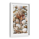 Shell Menagerie Iii - Rachel Perry | Cuadro decorativo de Canvas Lab