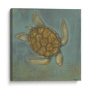 Tortuga De Mar I - Norman Wyatt Jr. | Cuadro decorativo de Canvas Lab