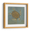 Tortuga De Mar I - Norman Wyatt Jr. | Cuadro decorativo de Canvas Lab