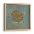 Tortuga De Mar I - Norman Wyatt Jr. | Cuadro decorativo de Canvas Lab