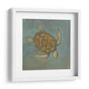 Tortuga De Mar I - Norman Wyatt Jr. | Cuadro decorativo de Canvas Lab
