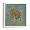 Tortuga De Mar I - Norman Wyatt Jr. | Cuadro decorativo de Canvas Lab