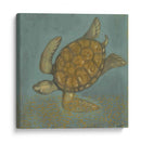Tortuga De Mar Ii - Norman Wyatt Jr. | Cuadro decorativo de Canvas Lab