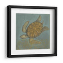 Tortuga De Mar Ii - Norman Wyatt Jr. | Cuadro decorativo de Canvas Lab