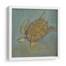Tortuga De Mar Ii - Norman Wyatt Jr. | Cuadro decorativo de Canvas Lab