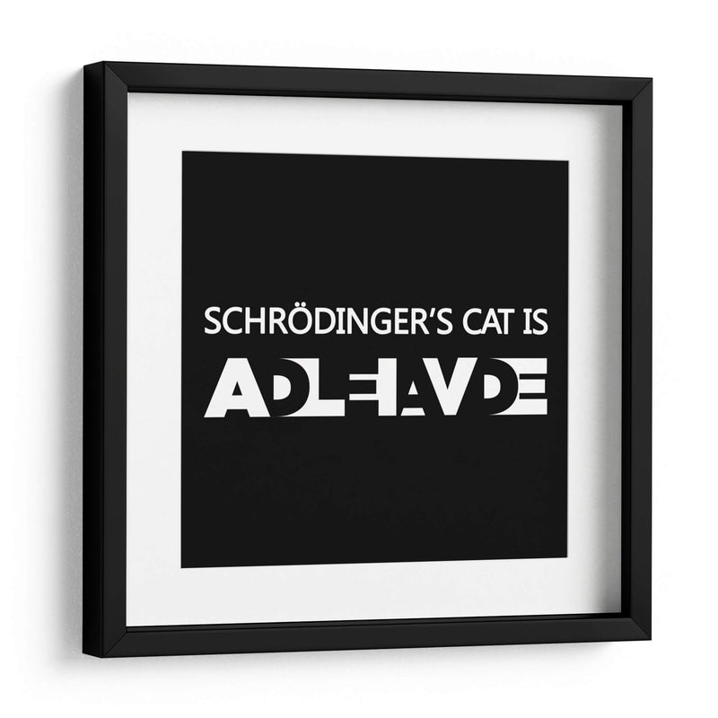El gato de Schrödinger - Roge I. Luis | Cuadro decorativo de Canvas Lab