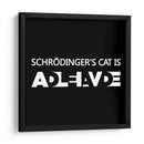 El gato de Schrödinger - Roge I. Luis | Cuadro decorativo de Canvas Lab