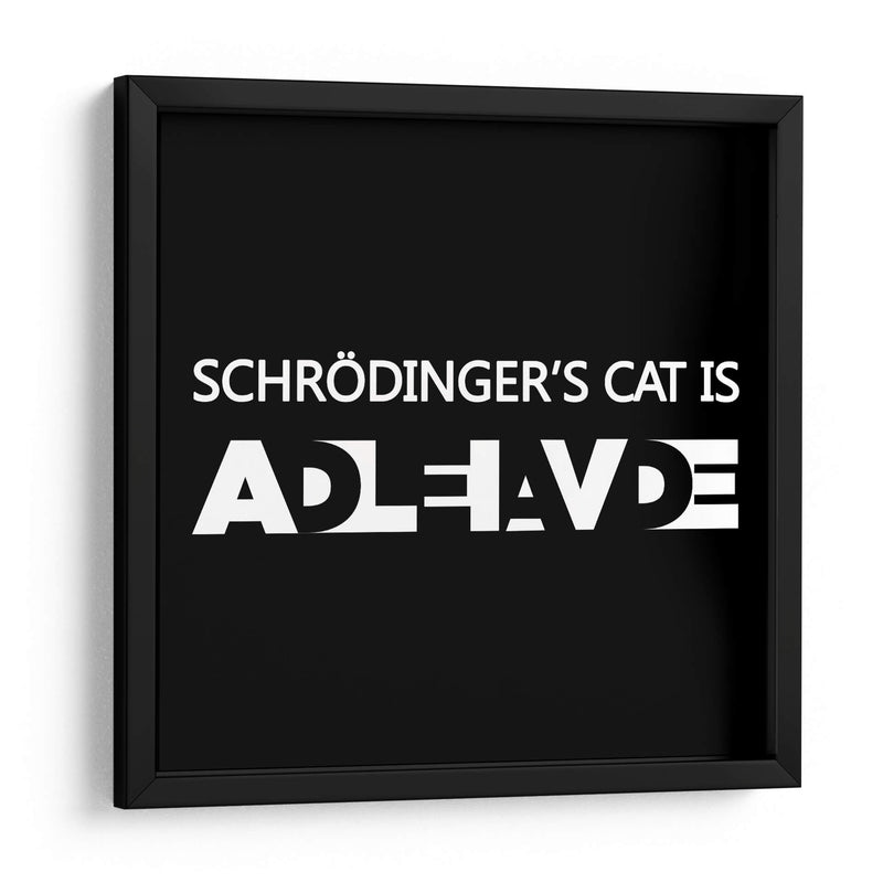 El gato de Schrödinger - Roge I. Luis | Cuadro decorativo de Canvas Lab