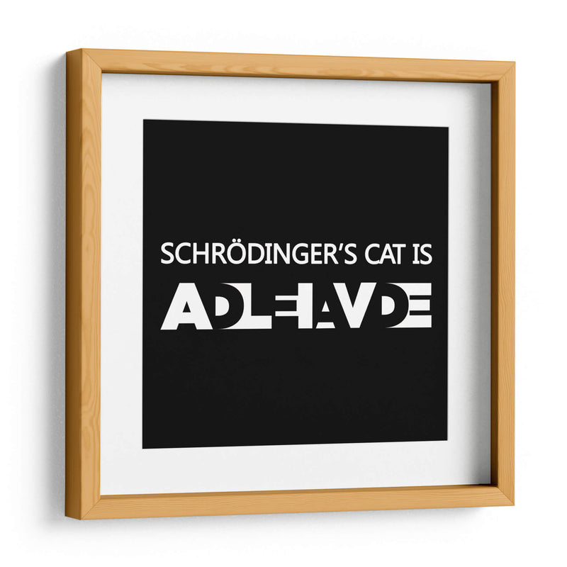 El gato de Schrödinger - Roge I. Luis | Cuadro decorativo de Canvas Lab