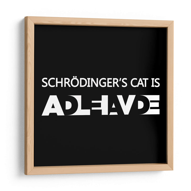 El gato de Schrödinger - Roge I. Luis | Cuadro decorativo de Canvas Lab