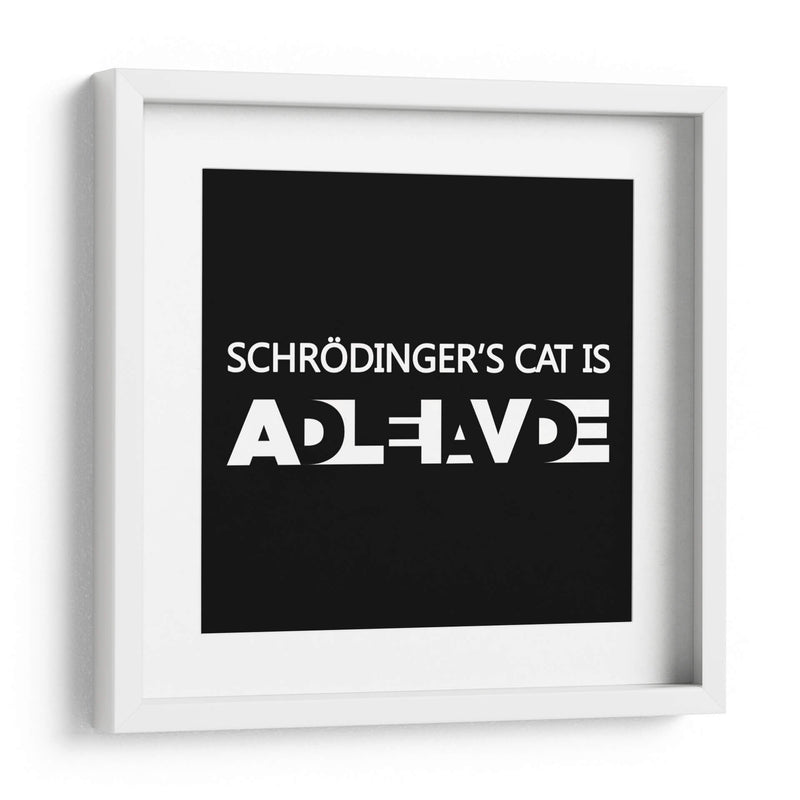 El gato de Schrödinger - Roge I. Luis | Cuadro decorativo de Canvas Lab