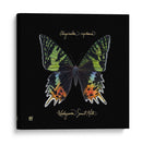 Butterfly Llamativa Ii - Ginny Joyner | Cuadro decorativo de Canvas Lab