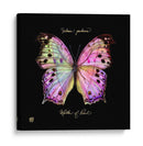 Butterfly Llamativa Iii - Ginny Joyner | Cuadro decorativo de Canvas Lab