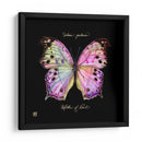 Butterfly Llamativa Iii - Ginny Joyner | Cuadro decorativo de Canvas Lab