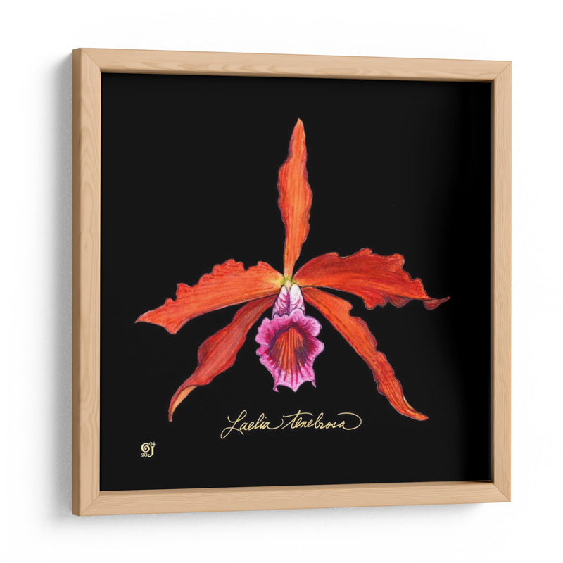 Orquídea Vívida Ii - Ginny Joyner | Cuadro decorativo de Canvas Lab