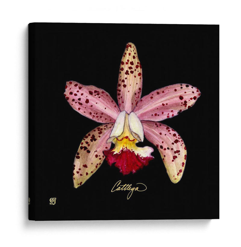 Vivid Orchid Iii - Ginny Joyner | Cuadro decorativo de Canvas Lab