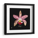 Vivid Orchid Iii - Ginny Joyner | Cuadro decorativo de Canvas Lab