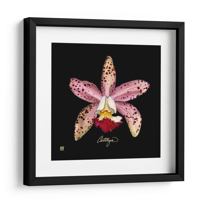 Vivid Orchid Iii - Ginny Joyner | Cuadro decorativo de Canvas Lab