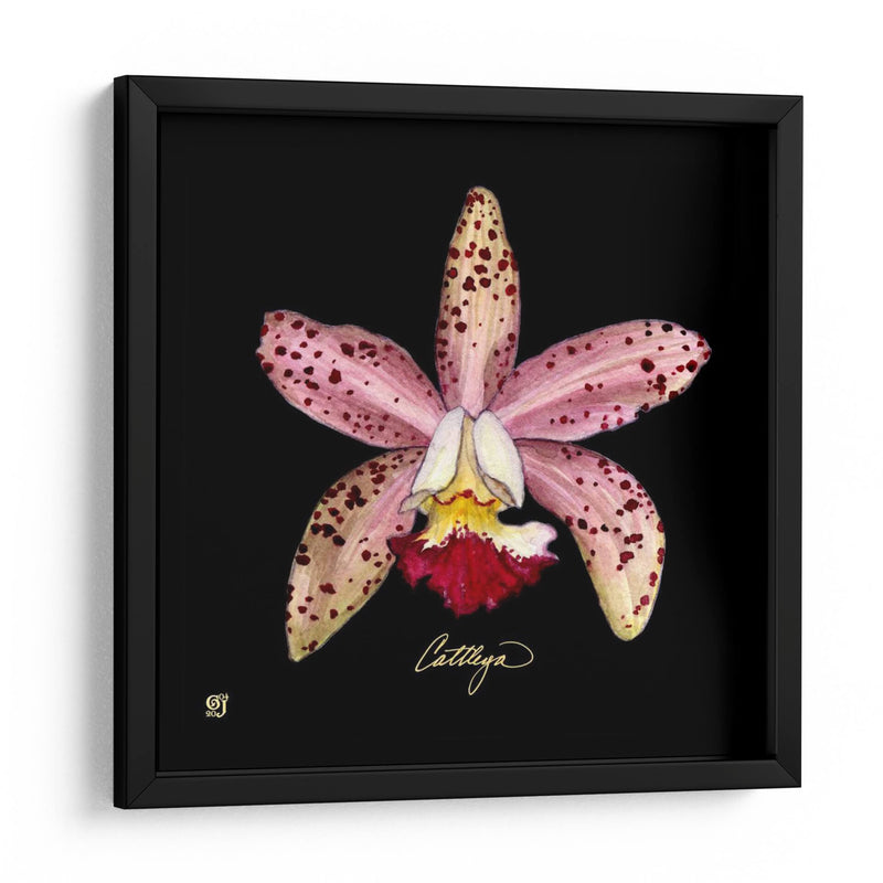 Vivid Orchid Iii - Ginny Joyner | Cuadro decorativo de Canvas Lab