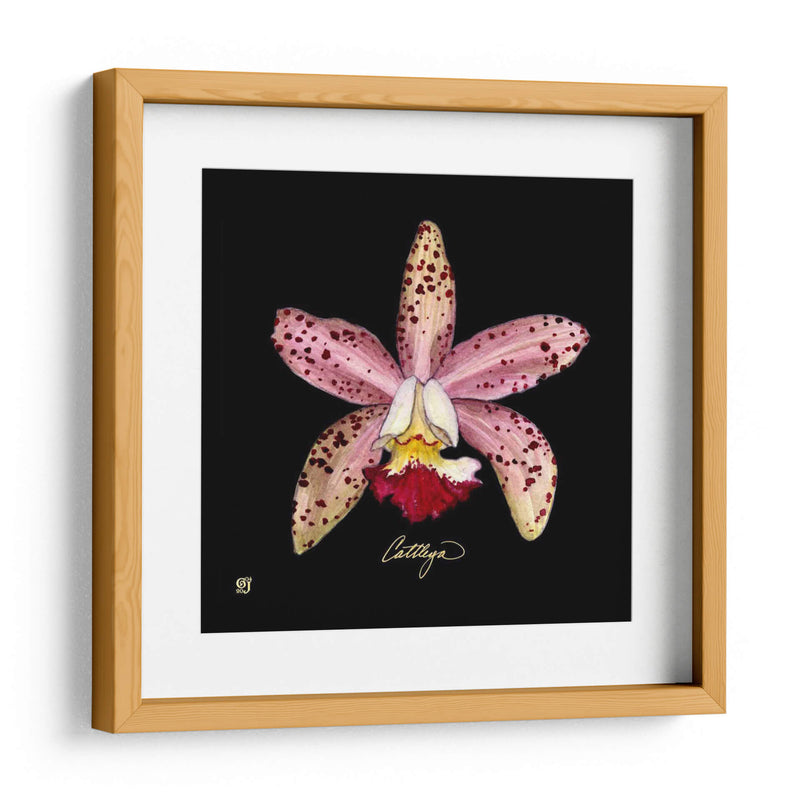 Vivid Orchid Iii - Ginny Joyner | Cuadro decorativo de Canvas Lab