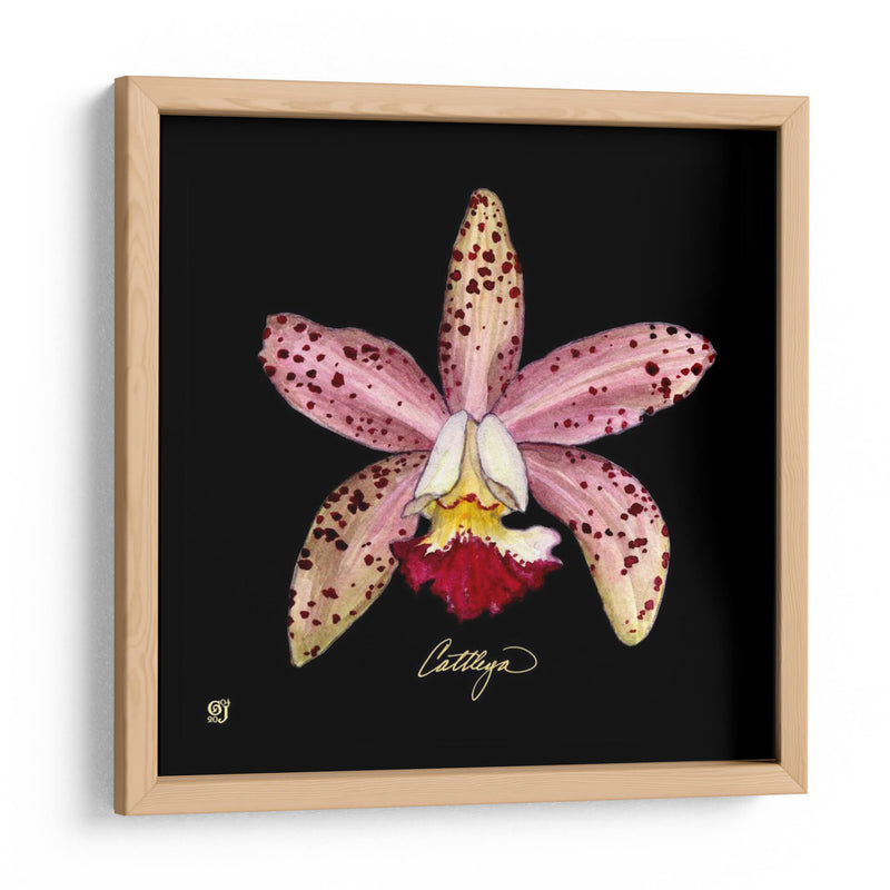 Vivid Orchid Iii - Ginny Joyner | Cuadro decorativo de Canvas Lab