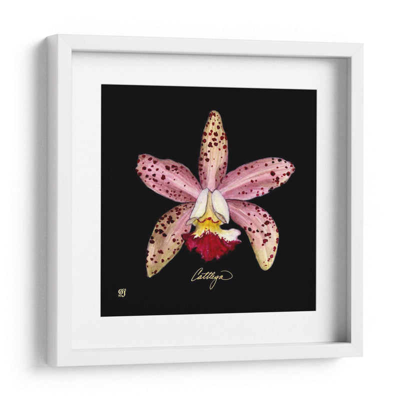 Vivid Orchid Iii - Ginny Joyner | Cuadro decorativo de Canvas Lab