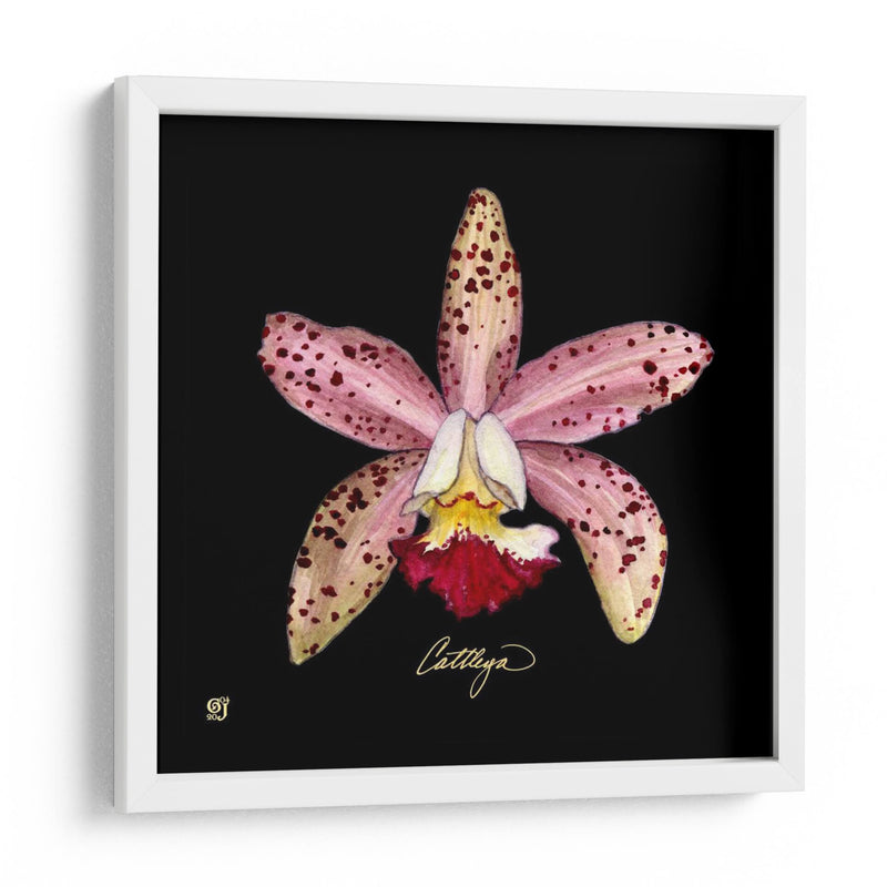 Vivid Orchid Iii - Ginny Joyner | Cuadro decorativo de Canvas Lab