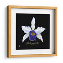 Cuadro decorativo de Canvas Lab