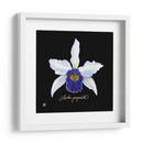 Orquídea Vívida Iv - Ginny Joyner | Cuadro decorativo de Canvas Lab