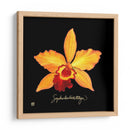 Vívida Orquídea Vi - Ginny Joyner | Cuadro decorativo de Canvas Lab