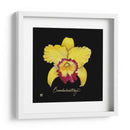 Vívida Orquídea Vii - Ginny Joyner | Cuadro decorativo de Canvas Lab