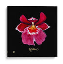 Vivid Orchid Viii - Ginny Joyner | Cuadro decorativo de Canvas Lab