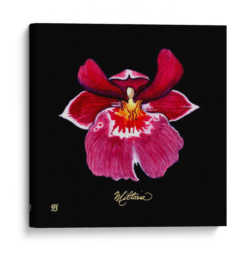 Vivid Orchid Viii - Ginny Joyner | Cuadro decorativo de Canvas Lab