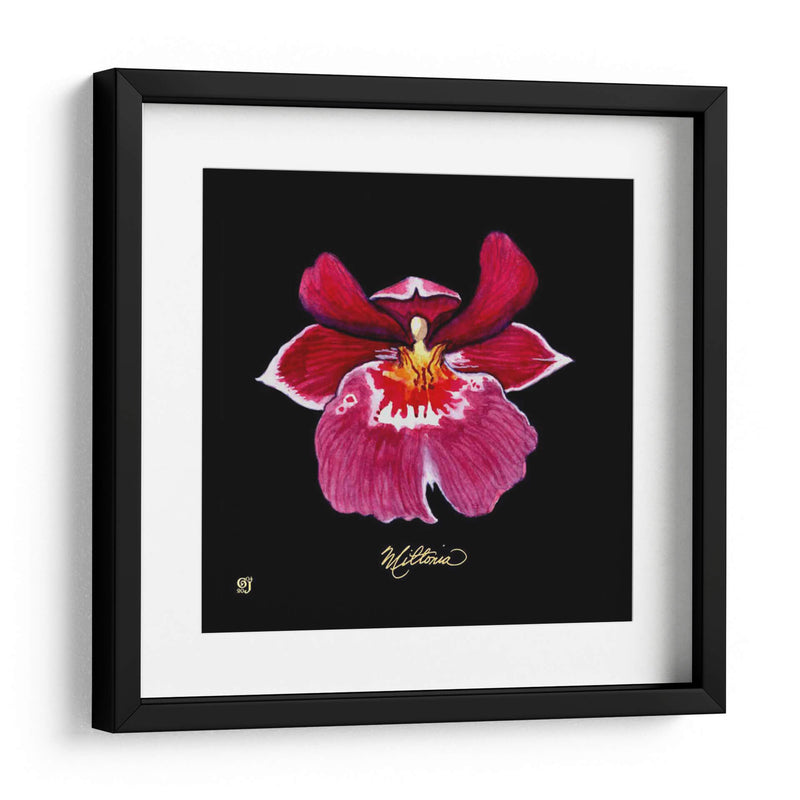 Vivid Orchid Viii - Ginny Joyner | Cuadro decorativo de Canvas Lab