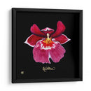 Vivid Orchid Viii - Ginny Joyner | Cuadro decorativo de Canvas Lab