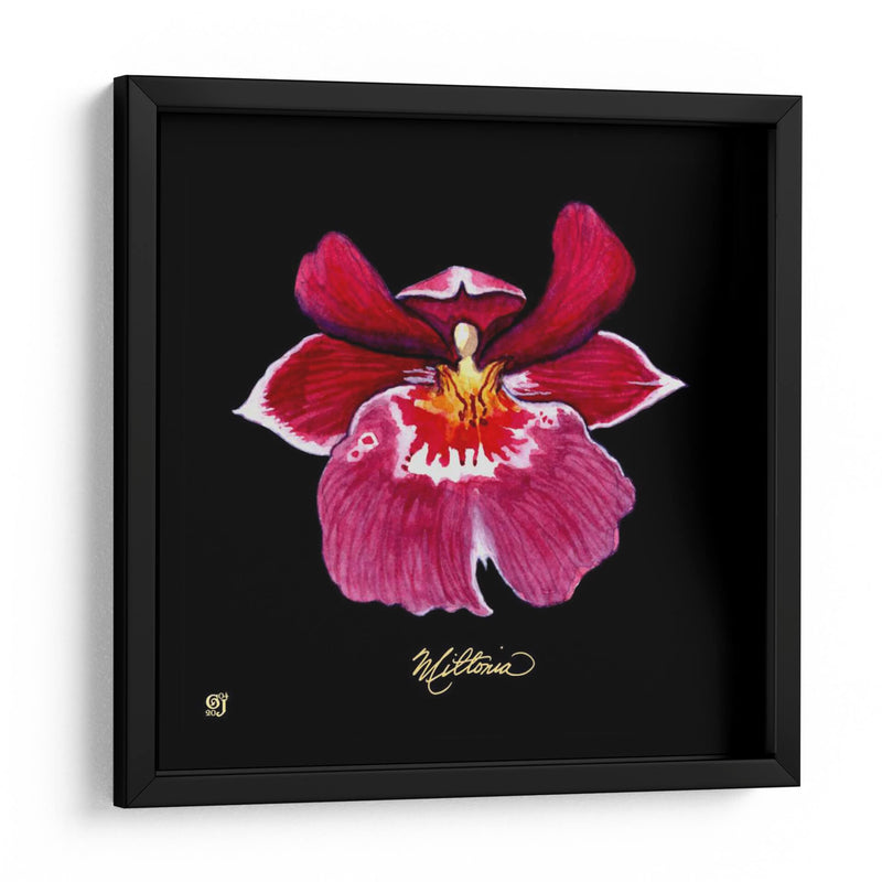 Vivid Orchid Viii - Ginny Joyner | Cuadro decorativo de Canvas Lab