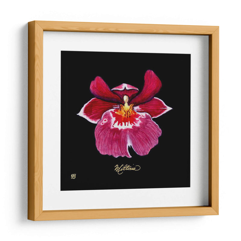 Vivid Orchid Viii - Ginny Joyner | Cuadro decorativo de Canvas Lab