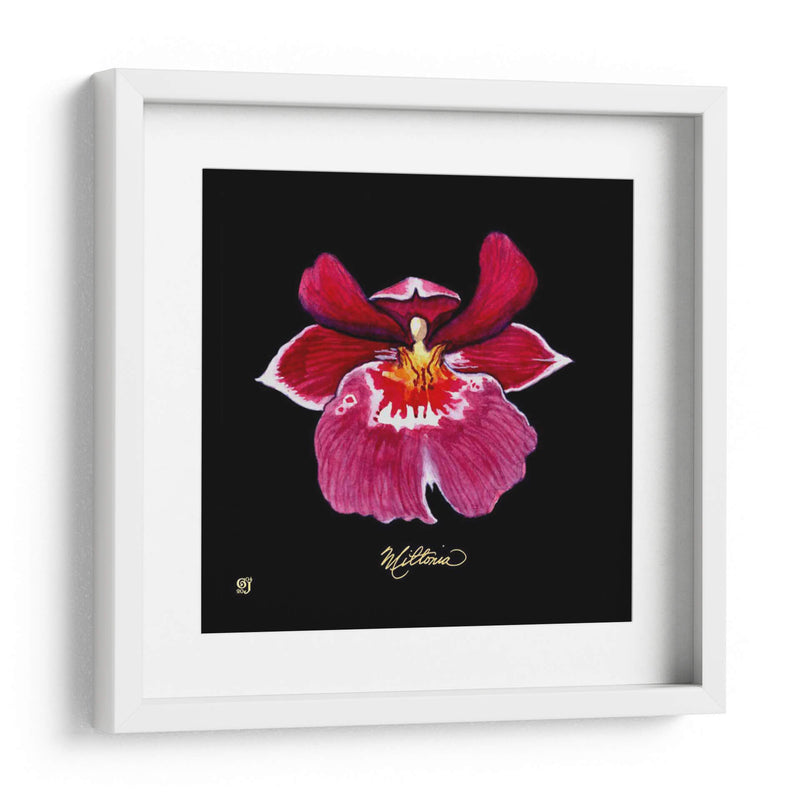 Vivid Orchid Viii - Ginny Joyner | Cuadro decorativo de Canvas Lab