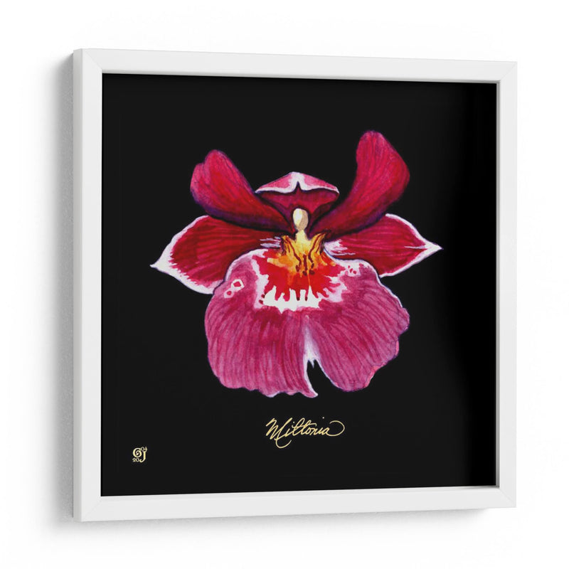 Vivid Orchid Viii - Ginny Joyner | Cuadro decorativo de Canvas Lab