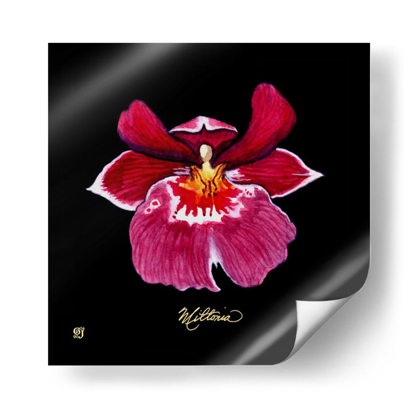 Vivid Orchid Viii - Ginny Joyner | Cuadro decorativo de Canvas Lab