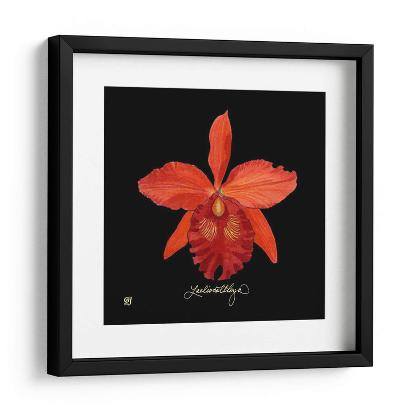 Vivid Orchid Ix - Ginny Joyner | Cuadro decorativo de Canvas Lab