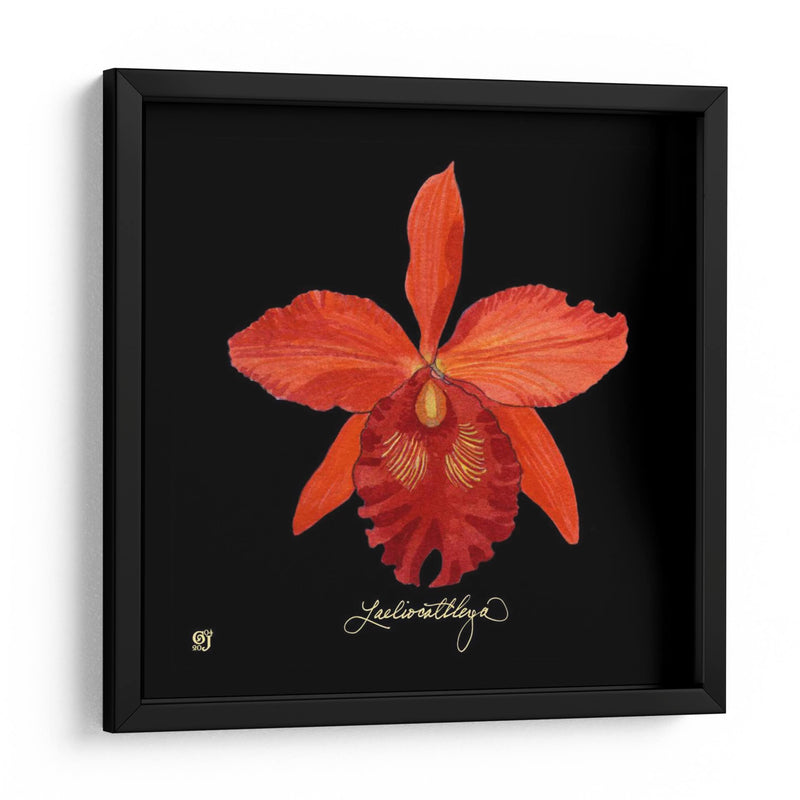 Vivid Orchid Ix - Ginny Joyner | Cuadro decorativo de Canvas Lab