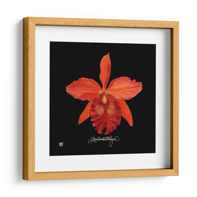 Vivid Orchid Ix - Ginny Joyner | Cuadro decorativo de Canvas Lab