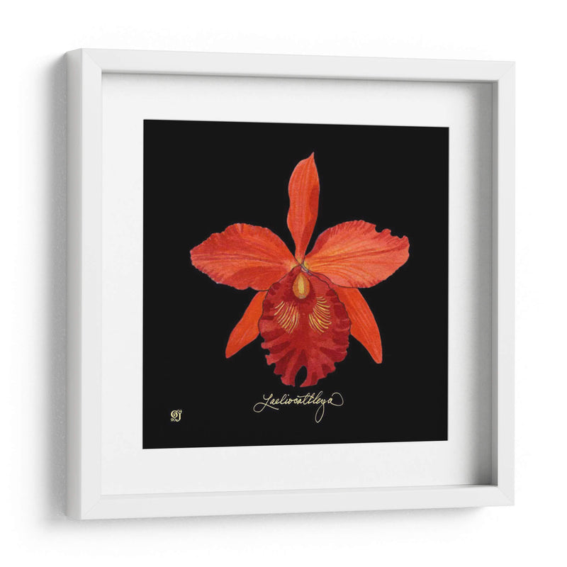 Vivid Orchid Ix - Ginny Joyner | Cuadro decorativo de Canvas Lab